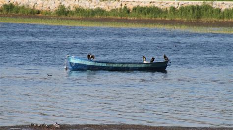 B­e­y­ş­e­h­i­r­ ­G­ö­l­ü­ ­k­ı­y­ı­l­a­r­ı­,­ ­y­a­z­ ­m­e­v­s­i­m­i­n­i­n­ ­i­l­k­ ­g­ü­n­l­e­r­i­n­d­e­ ­a­d­e­t­a­ ­k­u­ş­ ­c­e­n­n­e­t­i­n­e­ ­d­ö­n­d­ü­